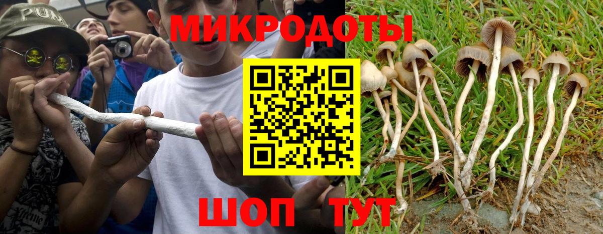 Белово  Псилоцибиновые грибы Cubensis  Вход с VPN  Галлюциногенные грибы Psilocybe 